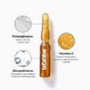 AMPOULES VITAMINE C 10*2ML